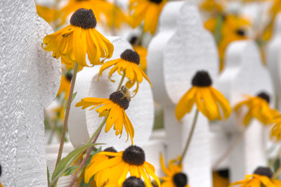 Flower_6 (2)