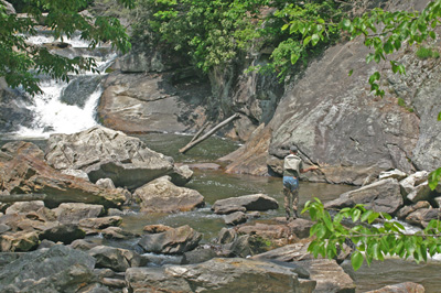 Flyfisherman