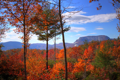 highmeadows_vista1