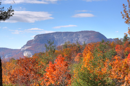 highmeadows_vista2